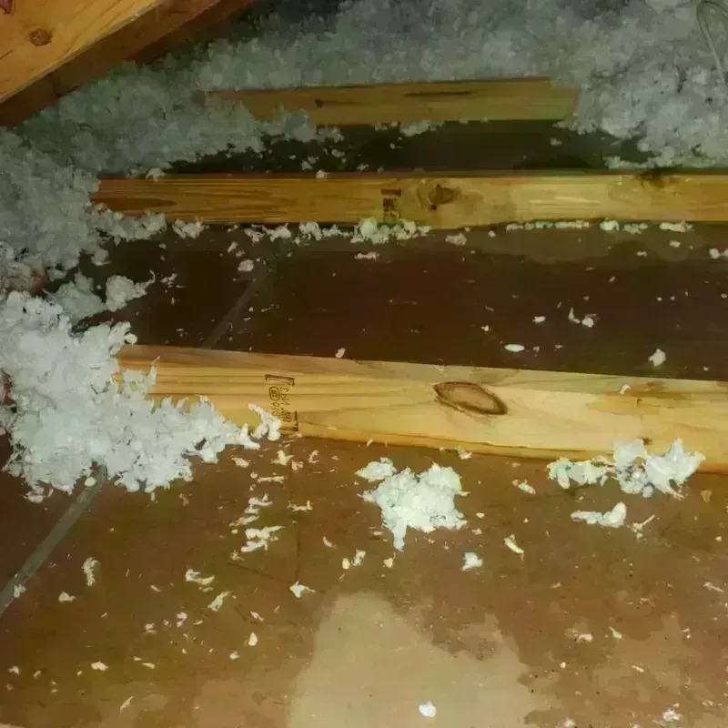 Attic Water Damage in Hackleburg, AL